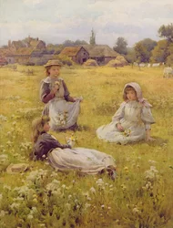 Wilde Blumen pflücken